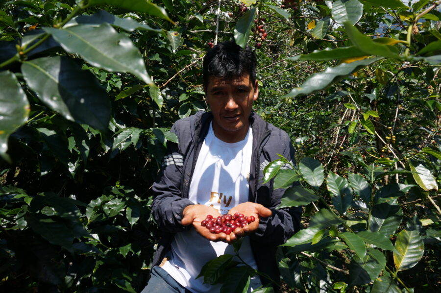 Neue Kaffees aus Peru Vorschaubild