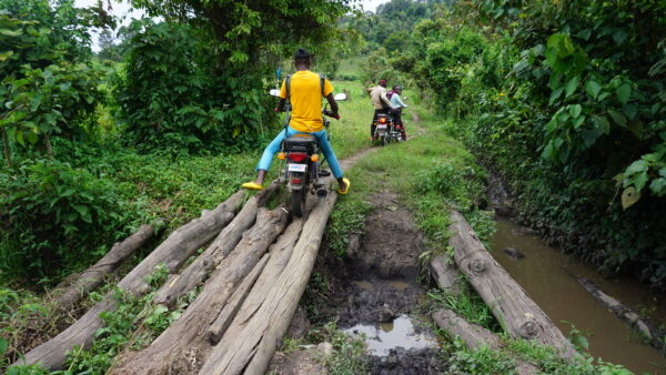 DR Kongo: Sechs Jahre Vorbereitung für eine Kaffeebeziehung Vorschau