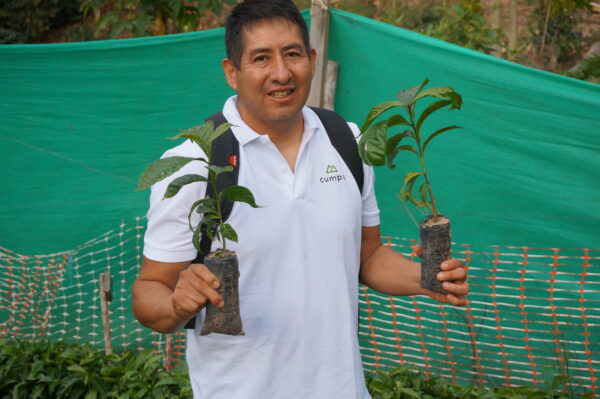 Peru Bio Robusta und Neue Arabica Microlots Vorschau
