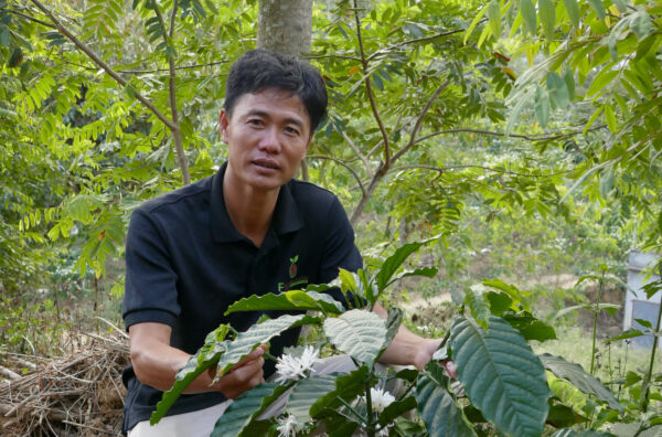Behind the Beans: Mr. Toi, Fine-Robusta Legende aus Vietnam Vorschau